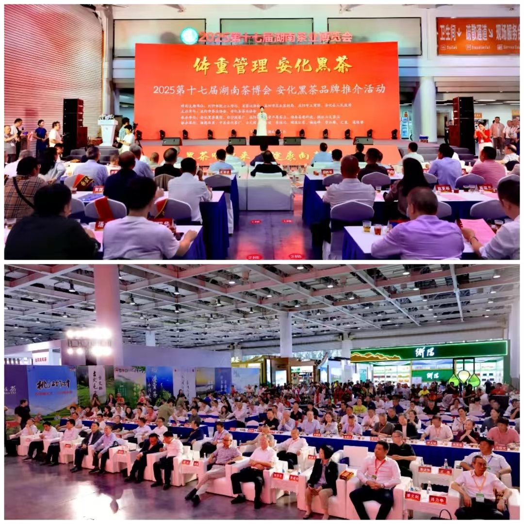 破局邊銷二十載，開啟茯茶新紀(jì)元——湘益茯茶“紀(jì)廿”新品璀璨發(fā)布